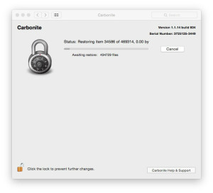 without Carbonite, I'd be sunk