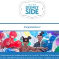 disney side party