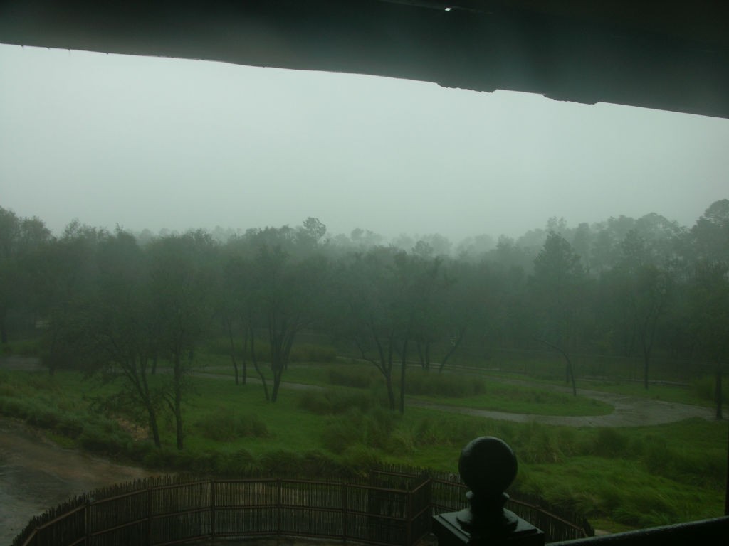 this isn't the typical view at this spot at Animal Kingdom Lodge