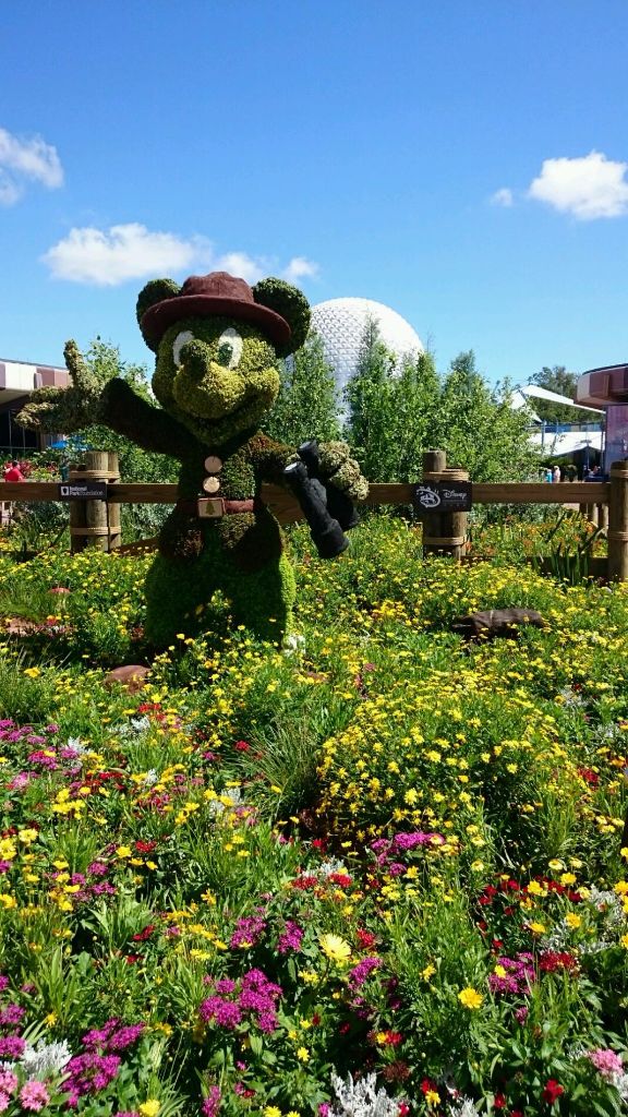 Park Ranger Mickey Mouse Topiary - Wordless Wednesday