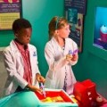 Doc McStuffins Childrens Exhibit