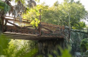 Pandora Disney's Animal Kingdom Bridge
