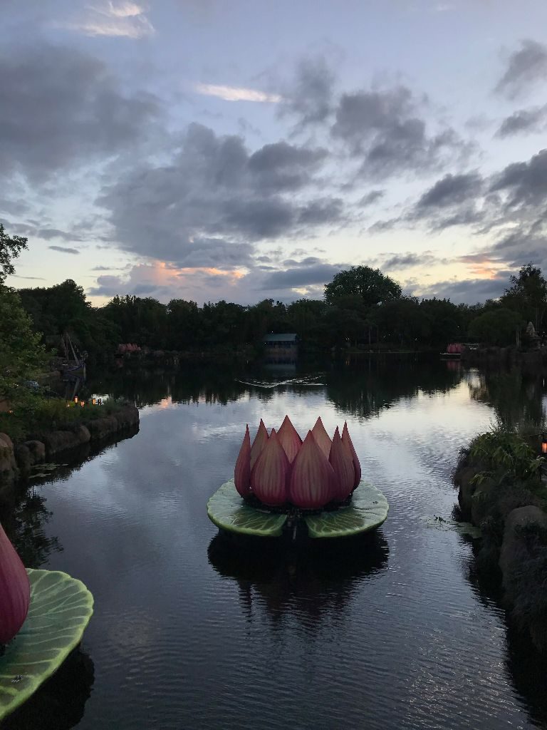 Rivers of Light Lotus Flower