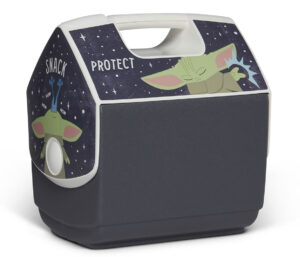 the child igloo cooler